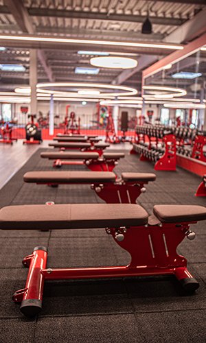 Zirkeltraining